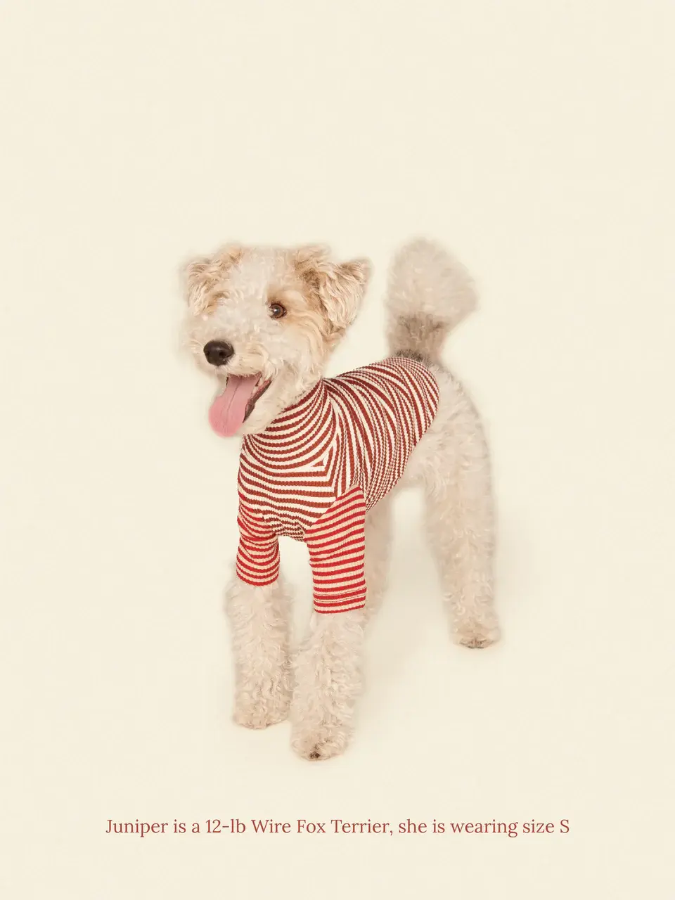 サムネイル： 【即納】LittleBeast ハイネックリブT アース＆ファイヤー