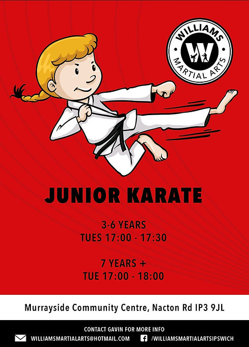 2025 kids karate poster.jpg