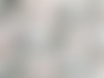 【ATELIER】鳥柄ファブリック