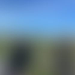 vineyards Venissa Mazzorbo Burano Venice