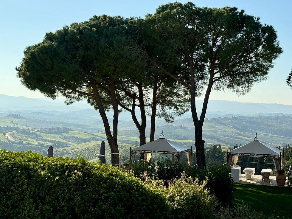  Castalfalfi spa hotel Tuscany San Gimignano AMEX Fine Hotels & Resorts 