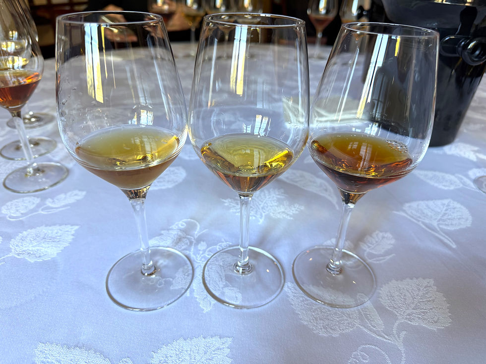 Bordeaux wine country France Chateau Coutet Barsac Sauternes