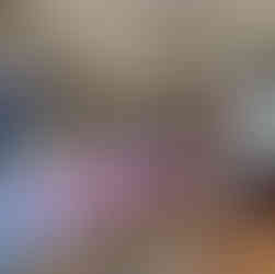 bistecca alla fiorentina steak lunch in Panzano in Chianti Tuscany Dario Cecchini