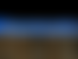 유통 개혁에 승부 거는