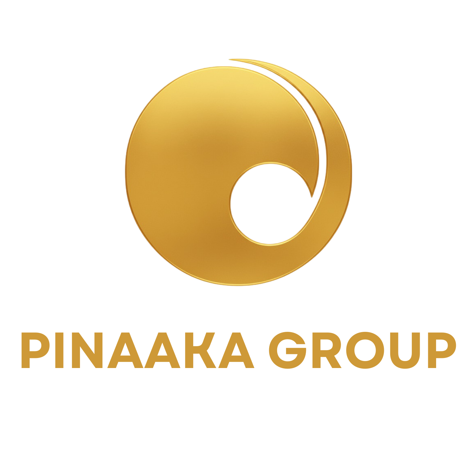 Pinaaka Group Logo.pdf (1).png