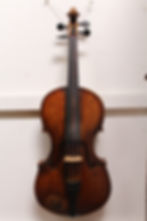 Violas