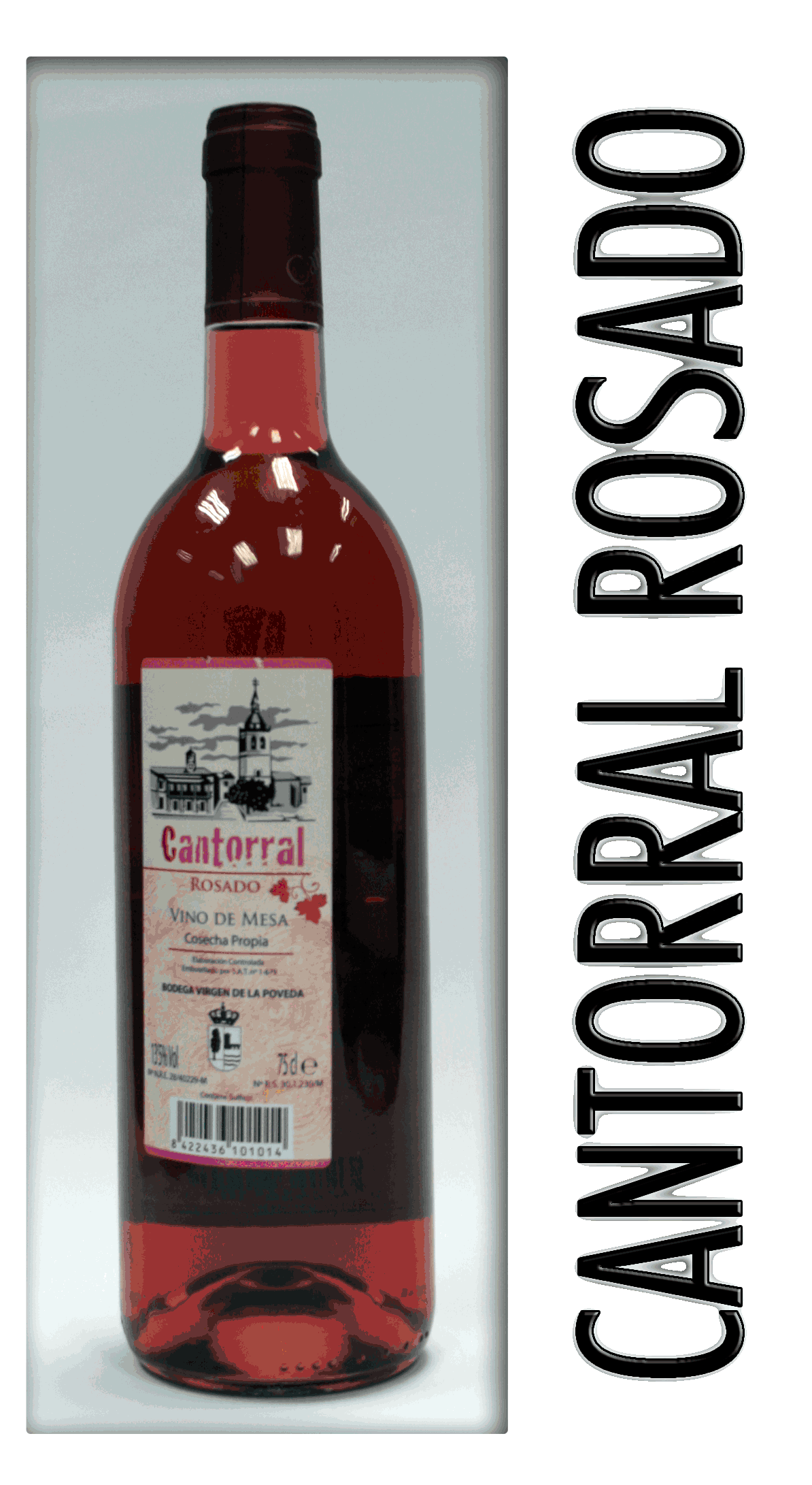 Cantorral rosado 1.gif