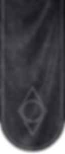SR-banner-Thieves_Guild.png