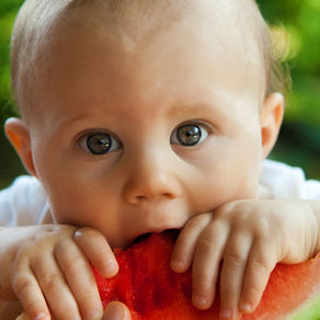 Guía de los Primeros Alimentos para Nuestros Bebés