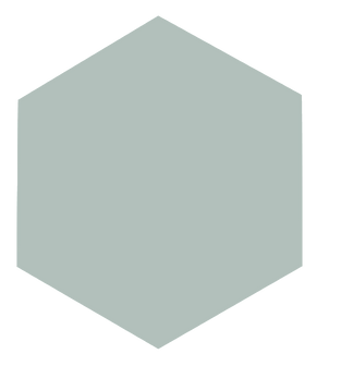 Hexagon logo Studia