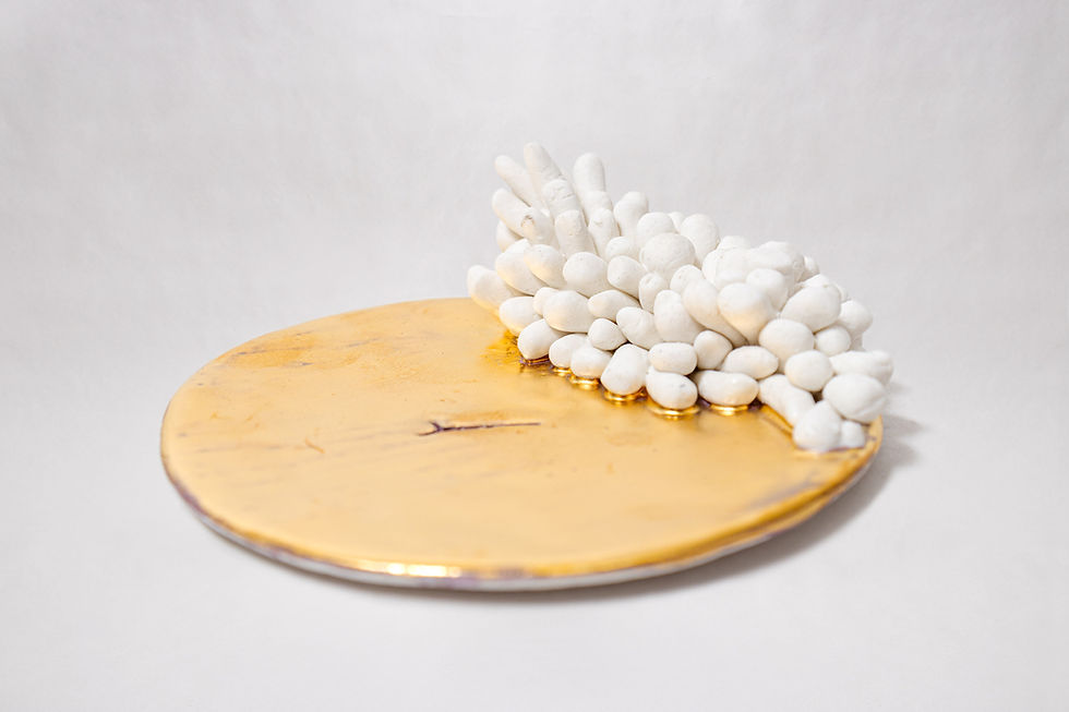 Miniatura: Coral