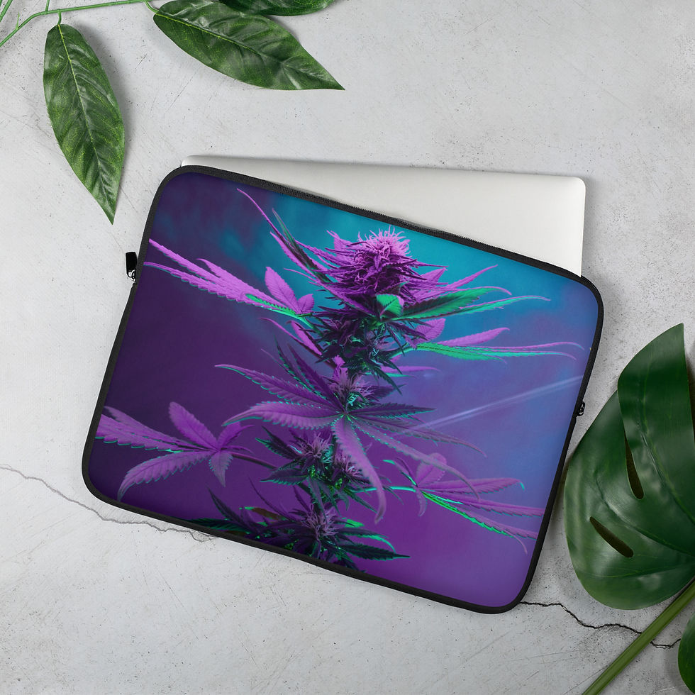 Purple and blue background with purple and green cannabis bud