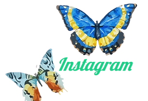 instagram text with 2 pattern butterflies. 1 is blue and yellow the other is blue and orange