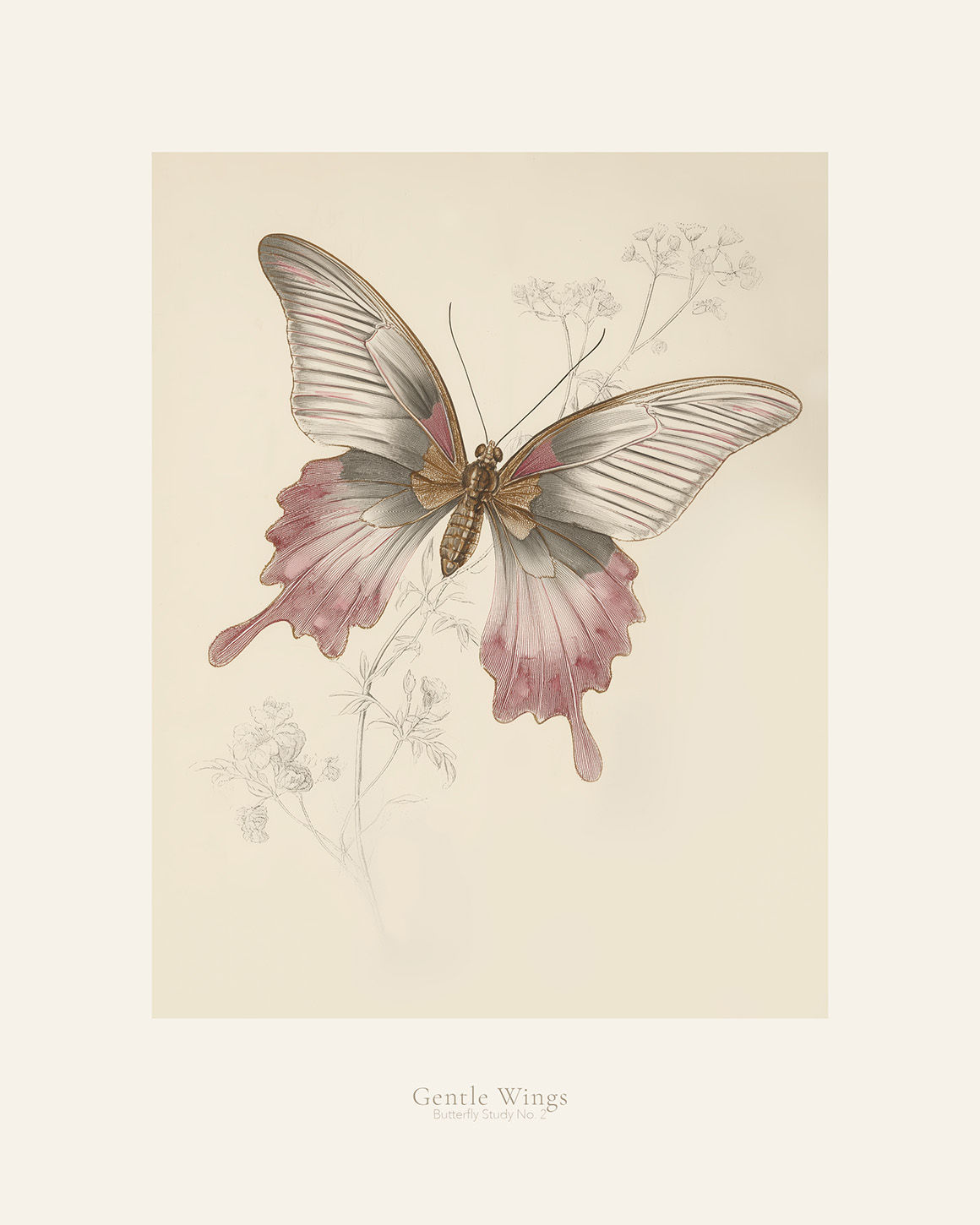 Gentle Wings, Butterfly Study No.2
