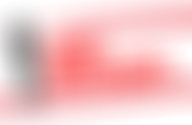 ESCLARECIMENTOS SOBRE ACOMPANHANTES NO TRANSPORTE DE CARGAS