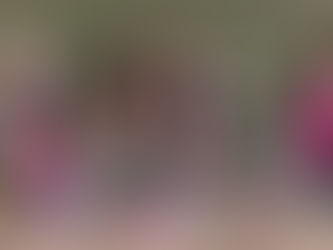 Turnaj MINI U7 se vydařil