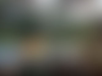 Jaké bylo IHWC 2015 v Lipsku?