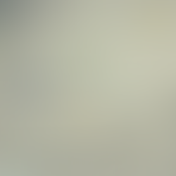 #88 | Cidadania Democrática