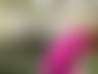 What if you did a different kind of reset?