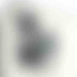 Close-up of the iPhone's camera lenses with a white backing, modern design.