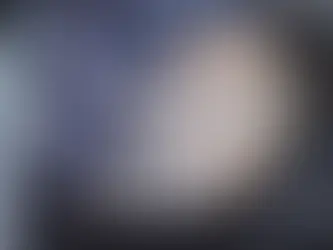 Insólito en Coclé: detienen a dos hombres por transportar un novillo dentro de un auto