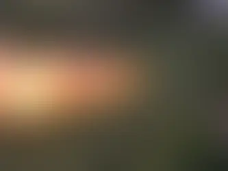 Incendio forestal en Tierras Altas consume hasta 25 hectáreas y mantiene vigilancia activa en Cerro La Florentina