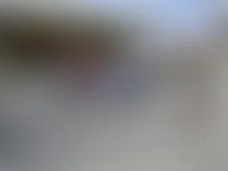 Operación Omega: 304 detenidos, 14 policías heridos y comercios afectados en Bocas del Toro