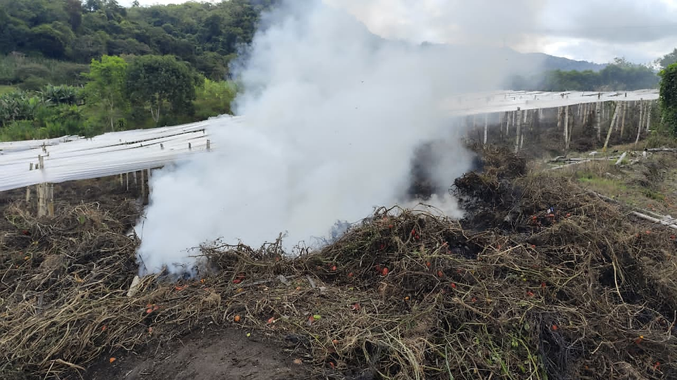 Quema ilegal de residuos agrícolas y plásticos genera alarma ambiental en Tierras Altas