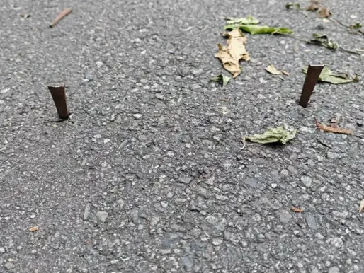 Clavos y árboles caídos frenan avance de la Operación “Omega” en Bocas del Toro