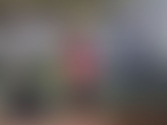 Capturan a dos presuntos abusadores sexuales durante operativos en Chiriquí y Bocas del Toro