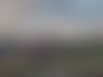 Voraz incendio de masa vegetal arrasa más de 10 hectáreas y genera alarma en David Sur