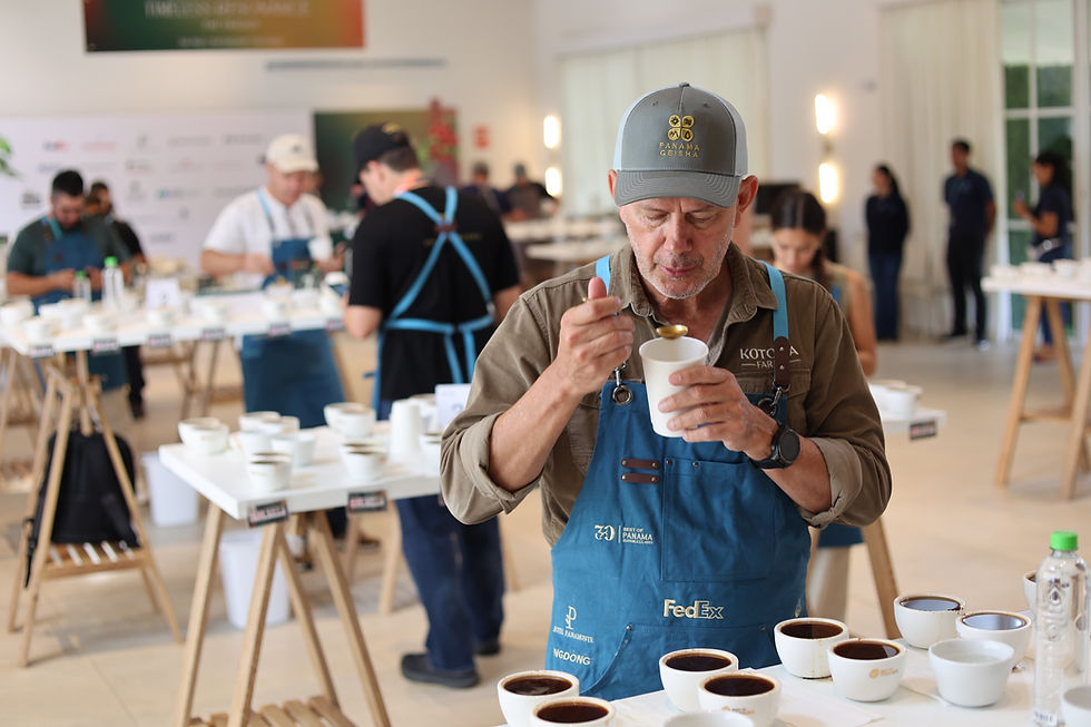 Panamá lleva 64 cafés de especialidad a la ronda internacional del Best of Panama 2026