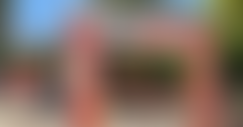 David vive el Año Nuevo Chino con feria cultural, danzas y apoyo al emprendimiento local