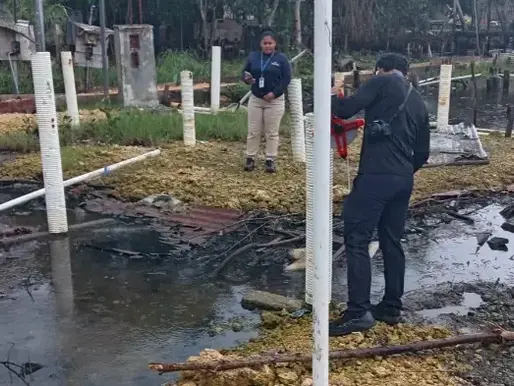 MiAmbiente investiga posible construcción ilegal sobre manglar protegido en Isla Colón