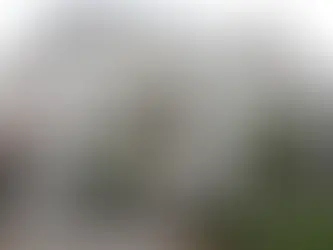 Juzgado de Pensión Alimenticia en Chiriquí recupera más de $86 mil en su primer año y fortalece la justicia para la niñez