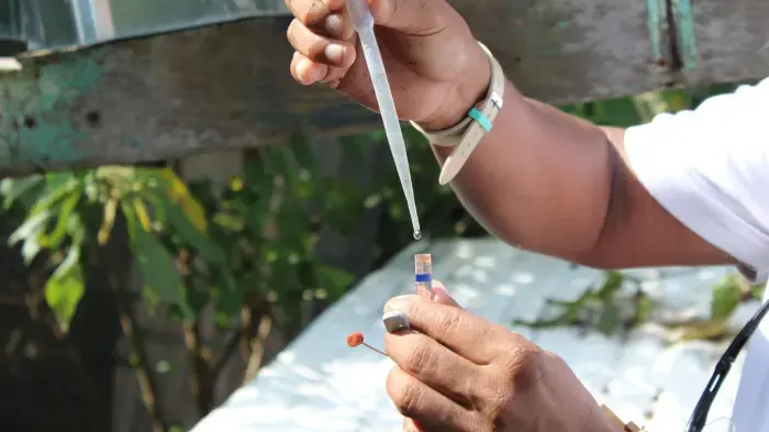 Dengue en Panamá: Ya van 6,458 casos y 10 muertes; Chiriquí reporta 4 defunciones