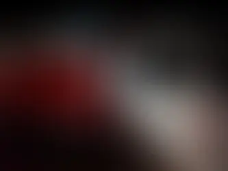 Retienen camión con más de 200 sacos de cebolla ocultos en presunto caso de contrabando en Chiriquí