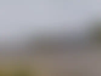 Caso de secta en la comarca Ngäbe-Buglé: Autoridades piden proteger los derechos de la niñez