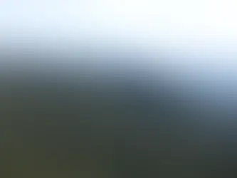 🌿 Panamá redefine límites del Parque Internacional La Amistad y refuerza su protección ambiental