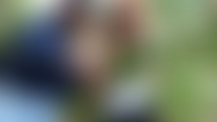 Restauración del manglar en Pedregal muestra avances: monitorean más de 400 plantones de mangle piñuelo