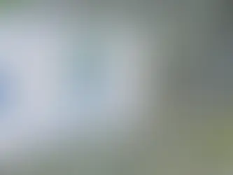 Exportaciones de banano caen a niveles de 2021 en medio de crisis empresarial y plaga en Bocas del Toro