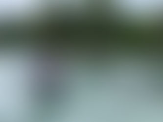 Isla Bastimentos instala boyas ecológicas para frenar el impacto de anclas en arrecifes y pastos marinos