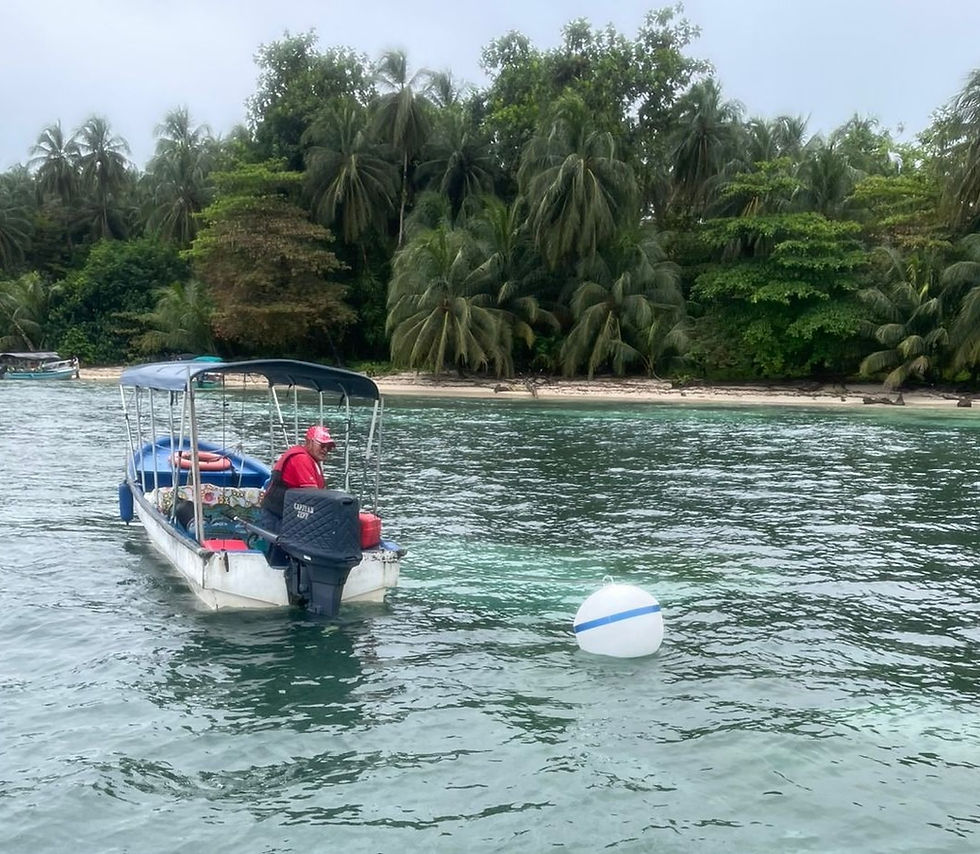 Isla Bastimentos instala boyas ecológicas para frenar el impacto de anclas en arrecifes y pastos marinos