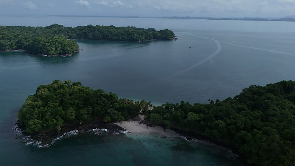 Parque Nacional Marino Golfo de Chiriquí cumple 32 años protegiendo uno de los mayores tesoros naturales de Panamá