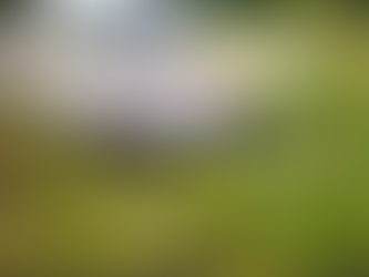 SENAFRONT recupera vehículo oficial de escuela en zona fronteriza con Costa Rica