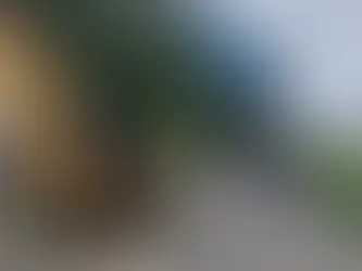 Crisis en Bocas del Toro: disturbios, bloqueos y estado de emergencia paralizan la provincia