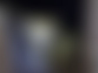 MiAMBIENTE rescata cría de ocelote en Chiriquí y traslada guacamaya bandera para rehabilitación