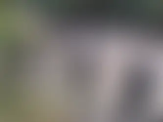 Dirigencia Ngöbe denuncia represión y violaciones de derechos humanos en medio de protestas contra Ley 462