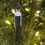 Thumbnail: Ponte Vedra HS Marching Band Member