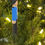 Thumbnail: Ridgeview HS Marching Band Member